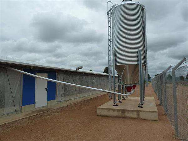 Prefabricated steel structure poultry farm for broiler