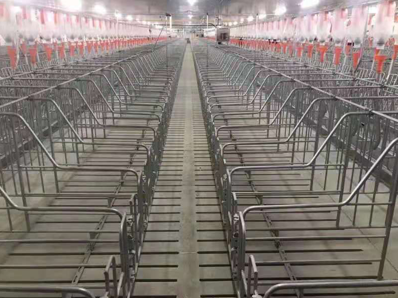 China Top 3 pig house equipments farm supplier