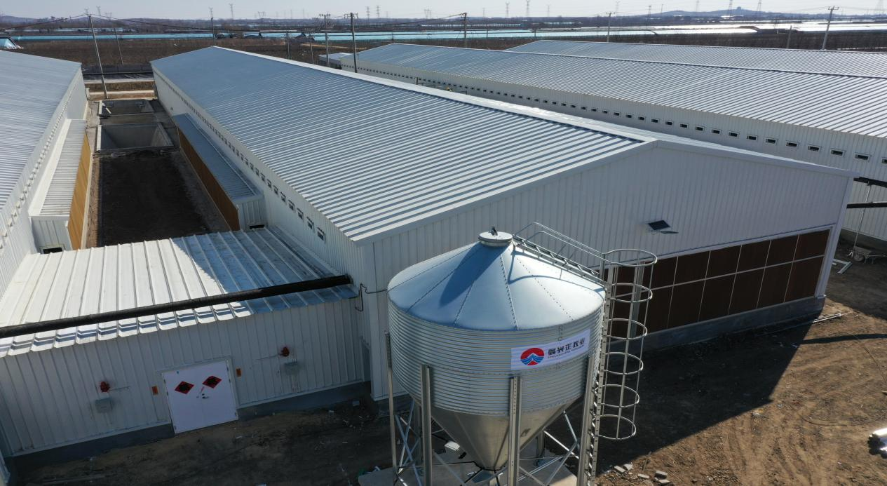 steel workshop Large span S275JR Steel for processing plant