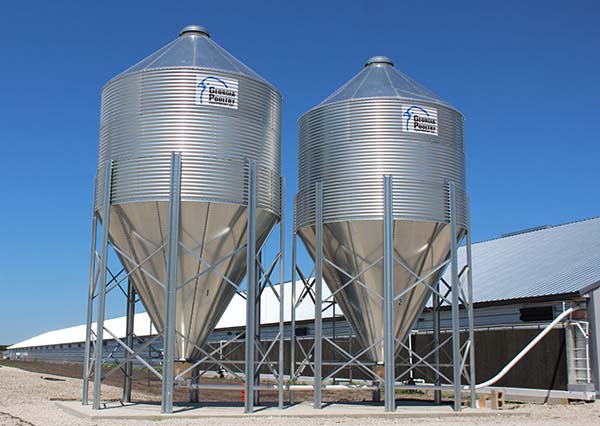Feed Silo for Chicken Poultry Farm