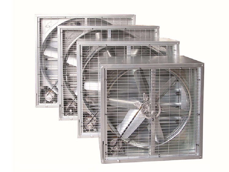 Agricultural Exhaust Fan for Poultry Farm