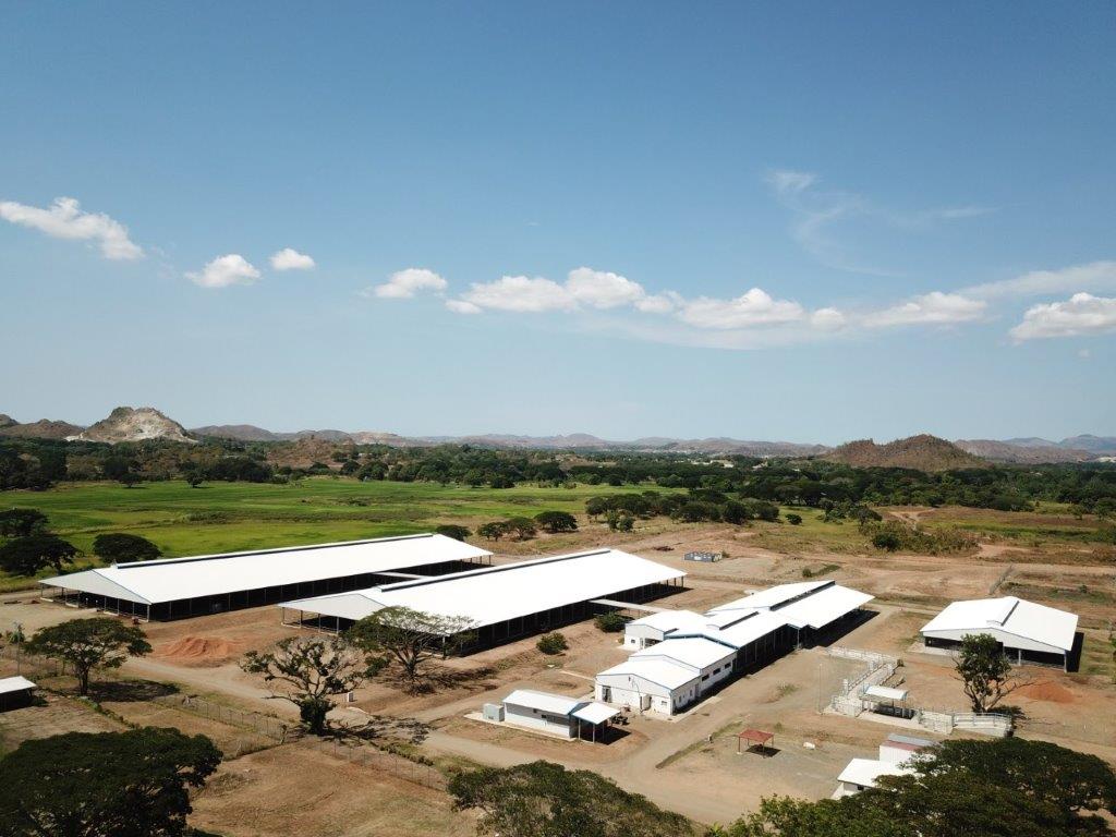 steel workshop Large span S235JR Steel for poultry