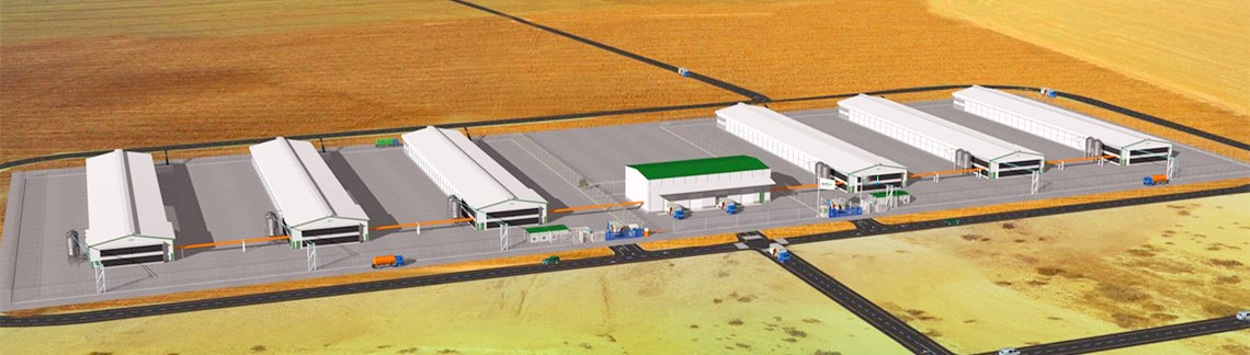 steel workshop Large span S275JR Steel for dairy farm