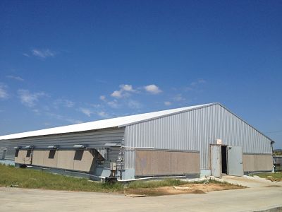 steel workshop Large span Q355 Steel for cow shed