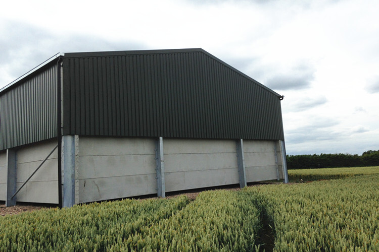 Galvanized Steel Structure Grain Storage Shed