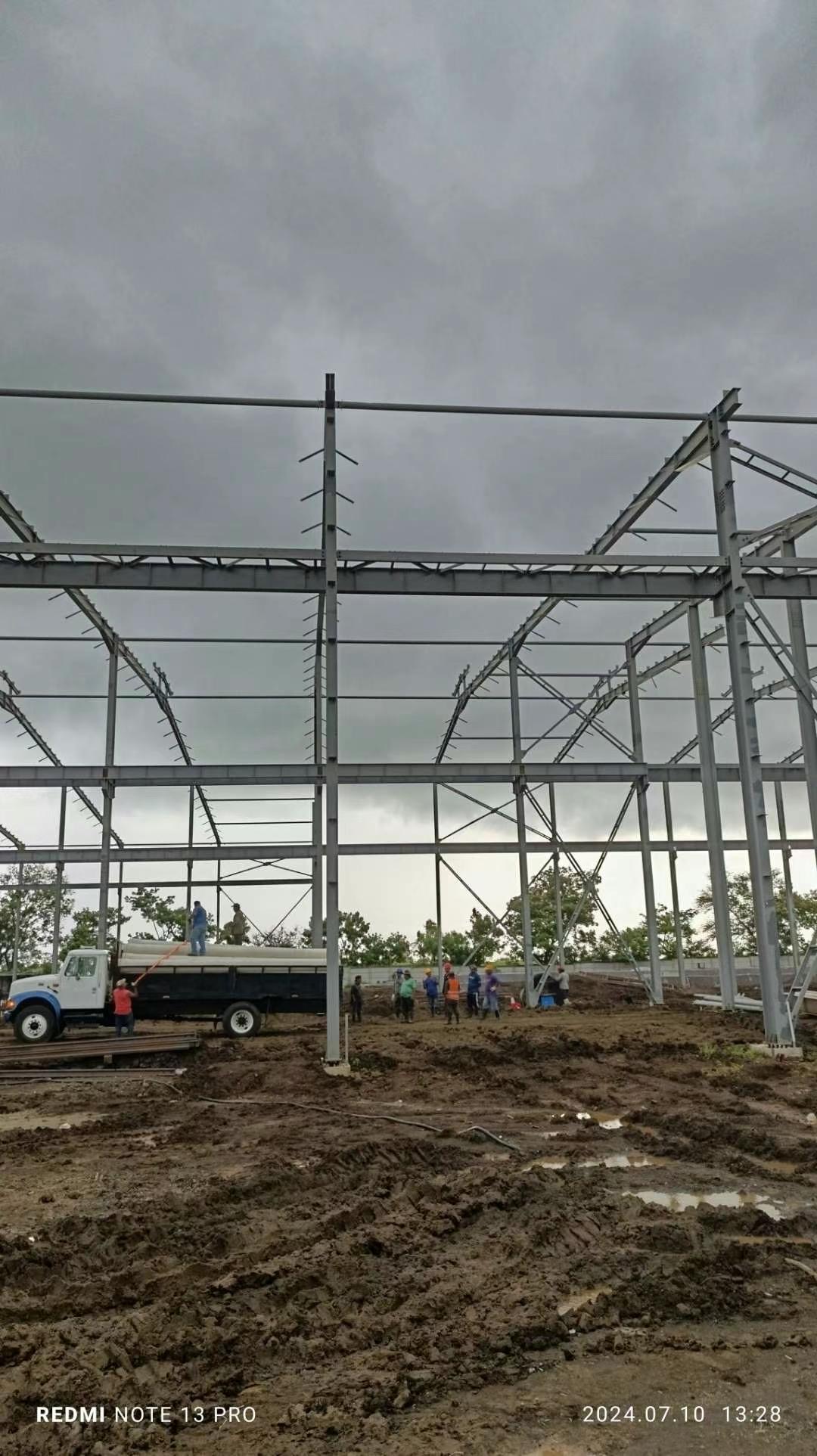 Planta nicaragüense